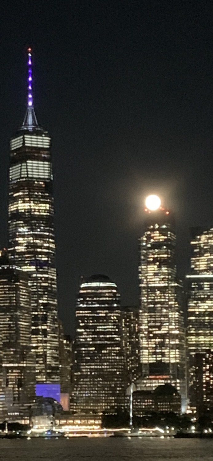 Amazing New York City Skyline