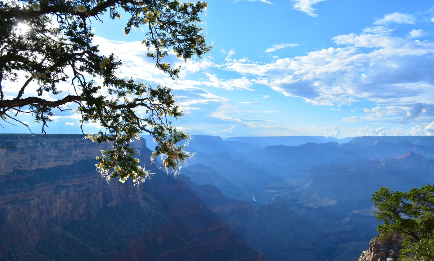 Grand Canyon
