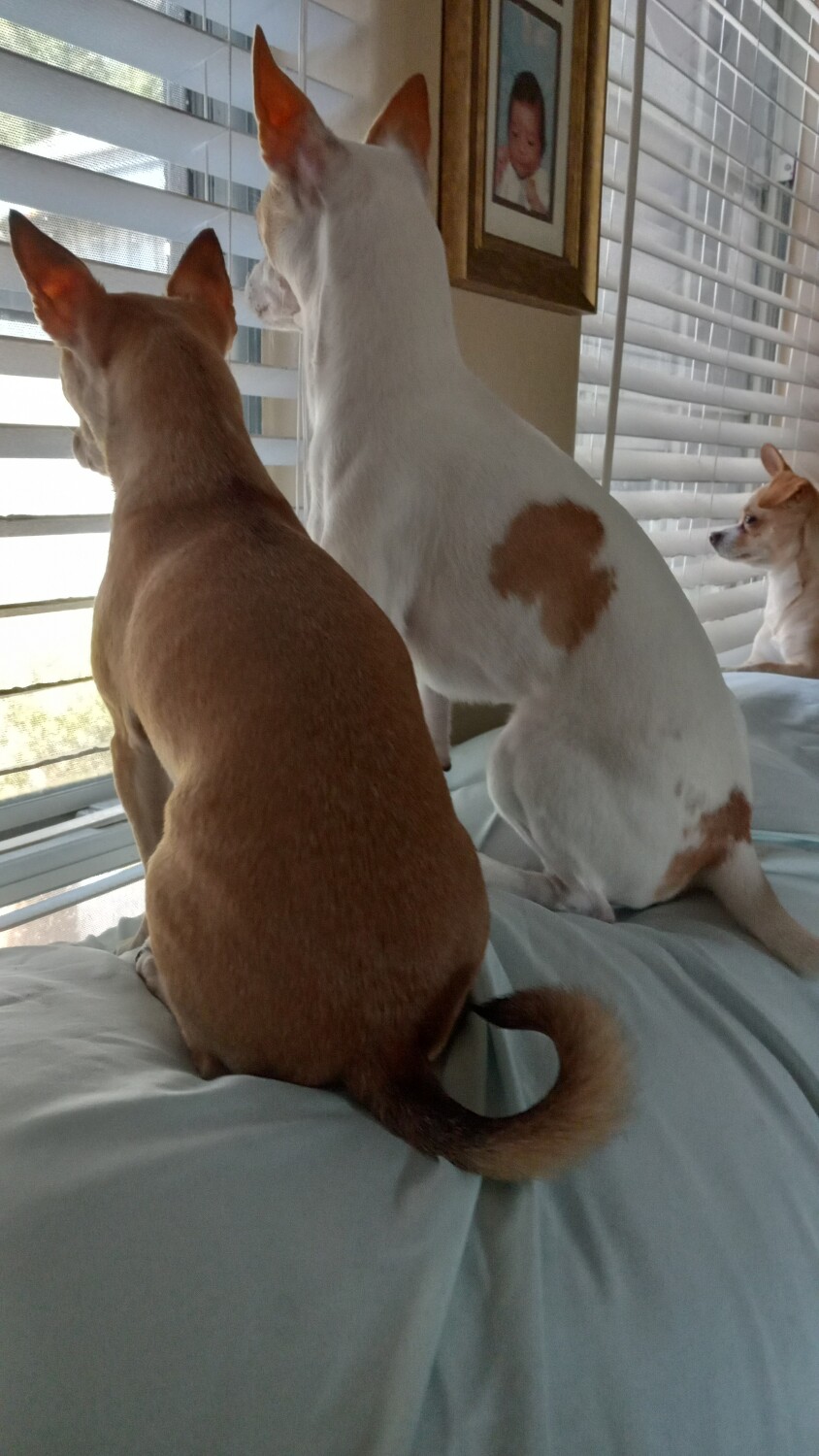 This is May and patches and Rocky