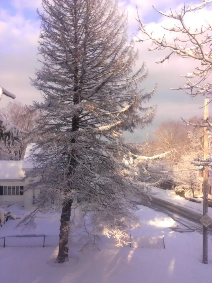 Sunrise in the winter