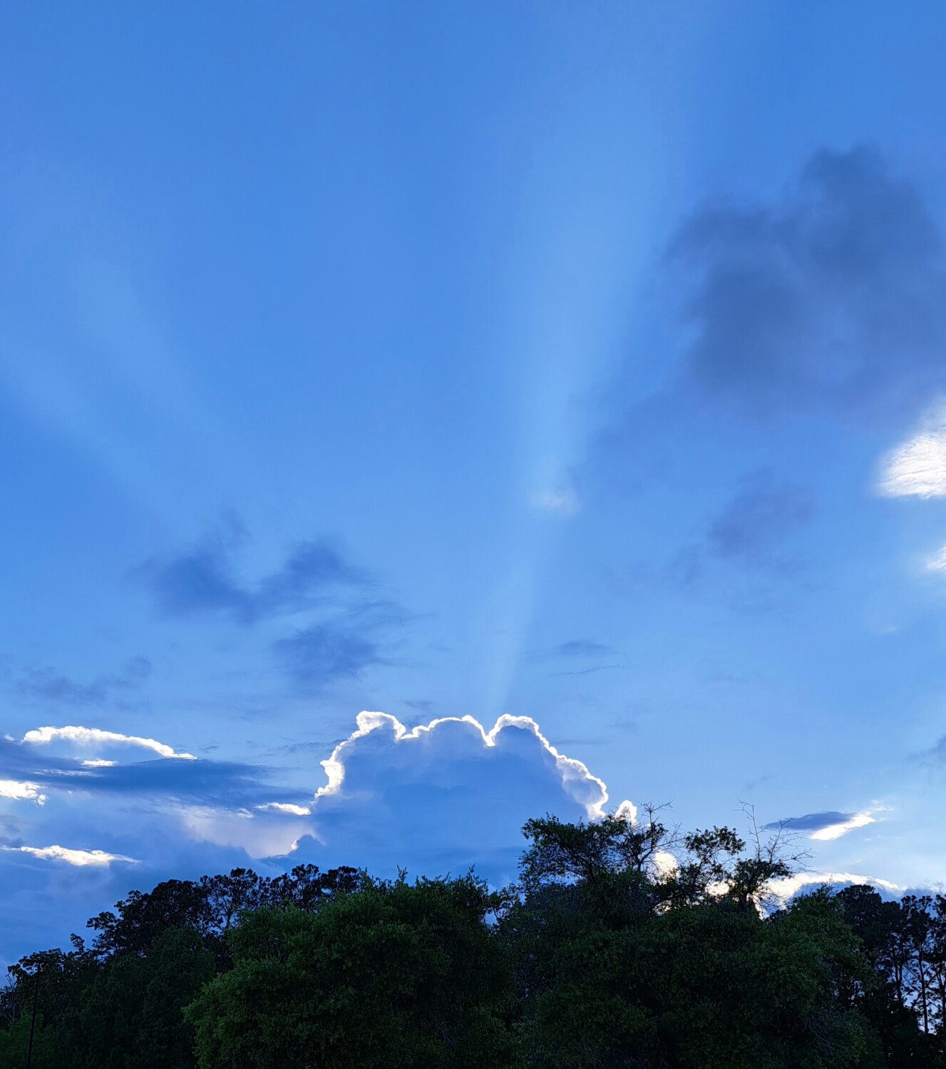 Darkness Before The Light