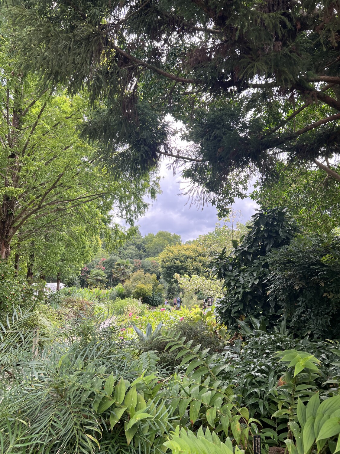 A Peek Into the Garden World