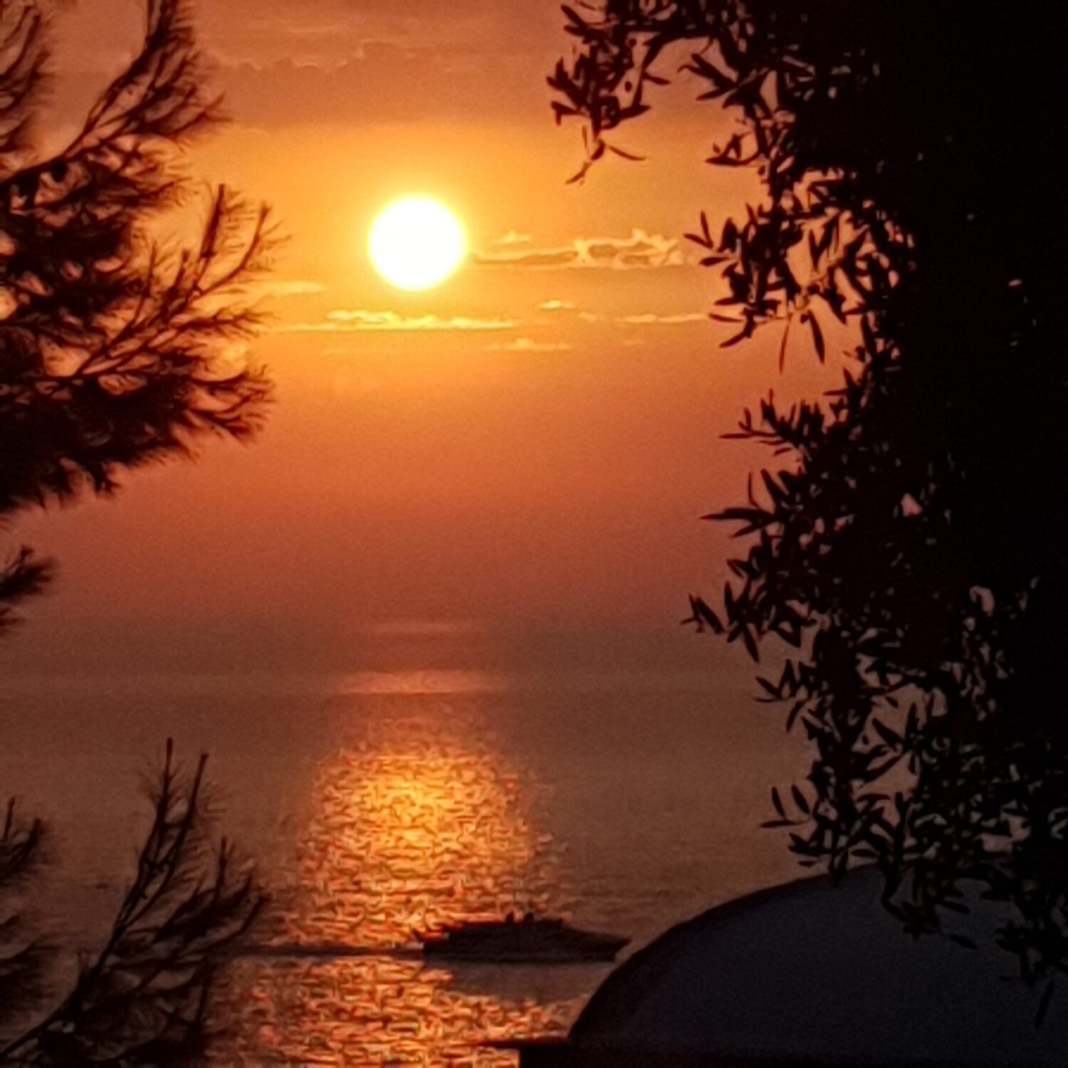 Sorrento Italy 🇮🇹