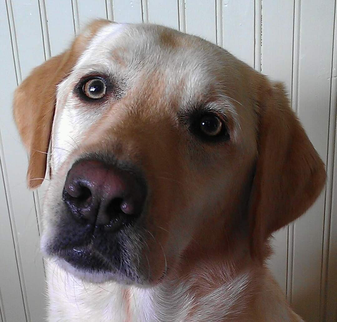 Carli- up close and personal