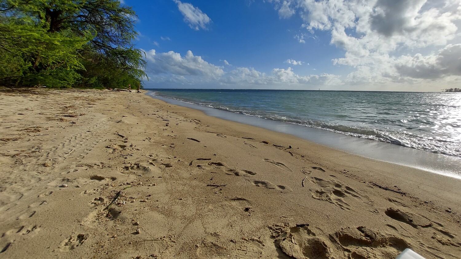 Relaxed 😎 at Dog beach
