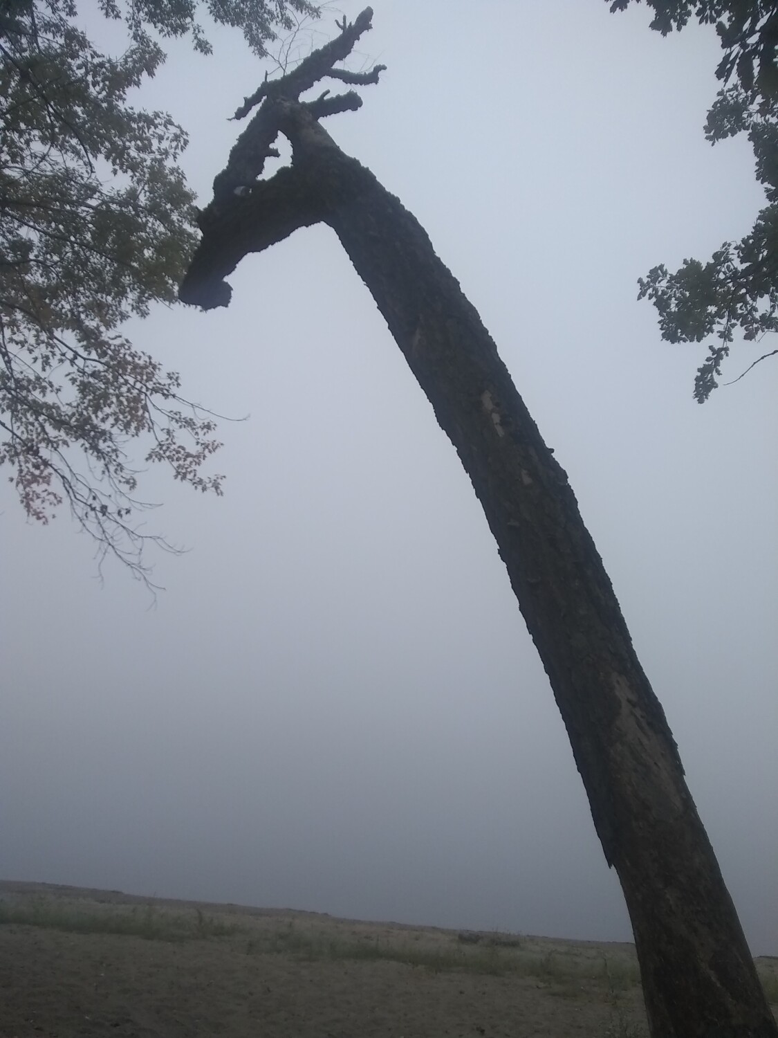 Breakfast with the dragon