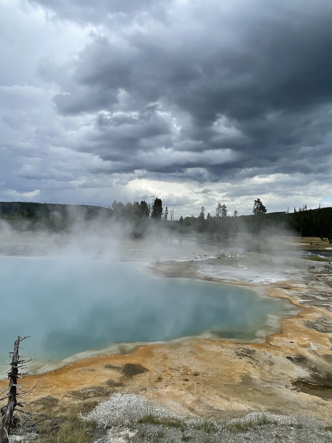 Earthquake offspring