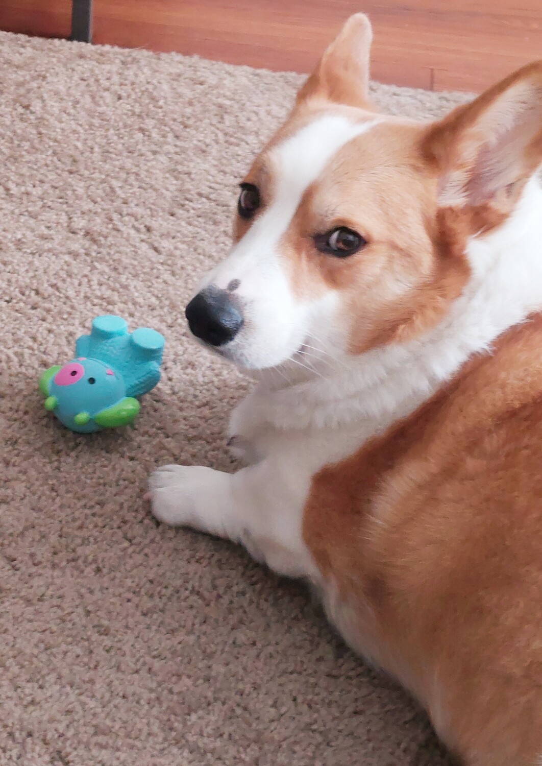 Booga and his alien.