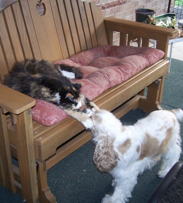 Look deep into my eyes.