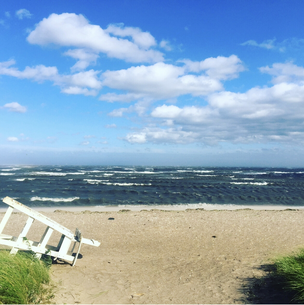 Beauty and the Beach
