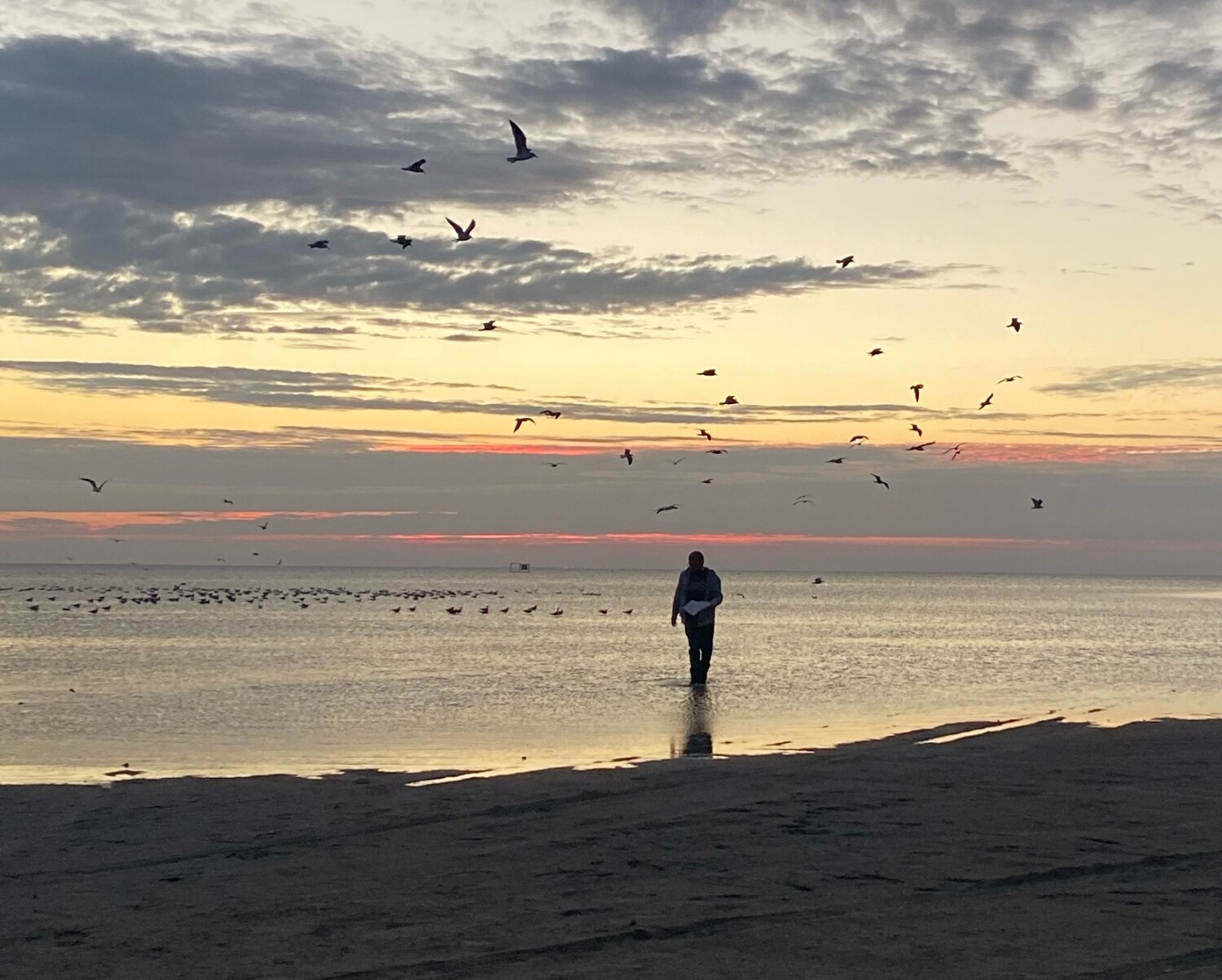 Dad’s Final Resting Place.
