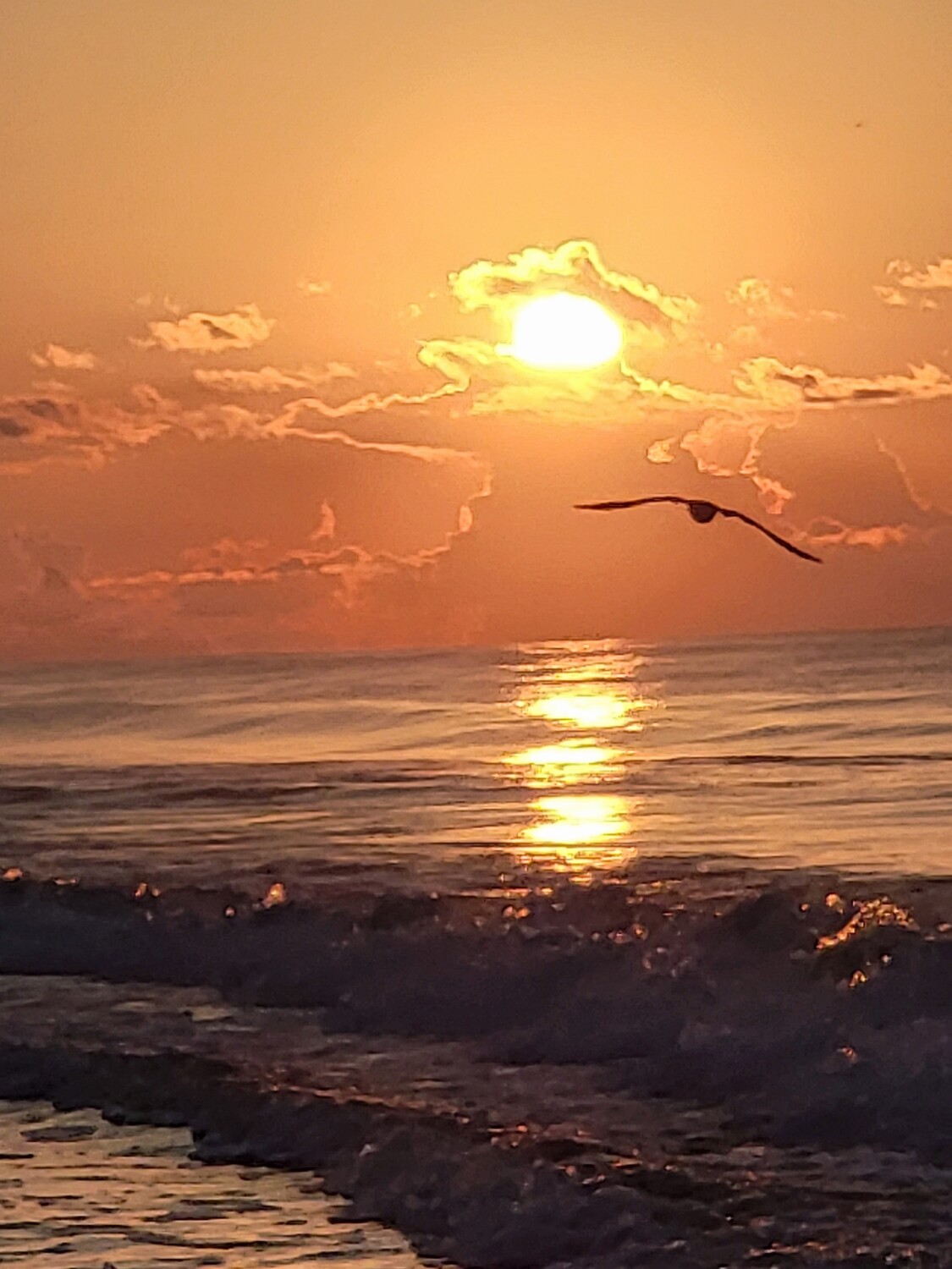 Great morning to stretch the wings!