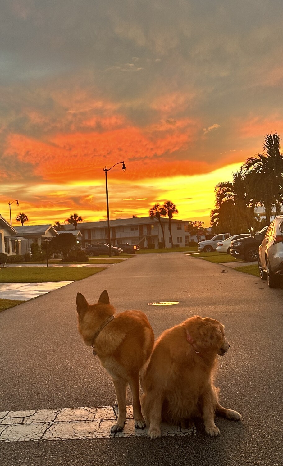 Samir and Angel - sunset