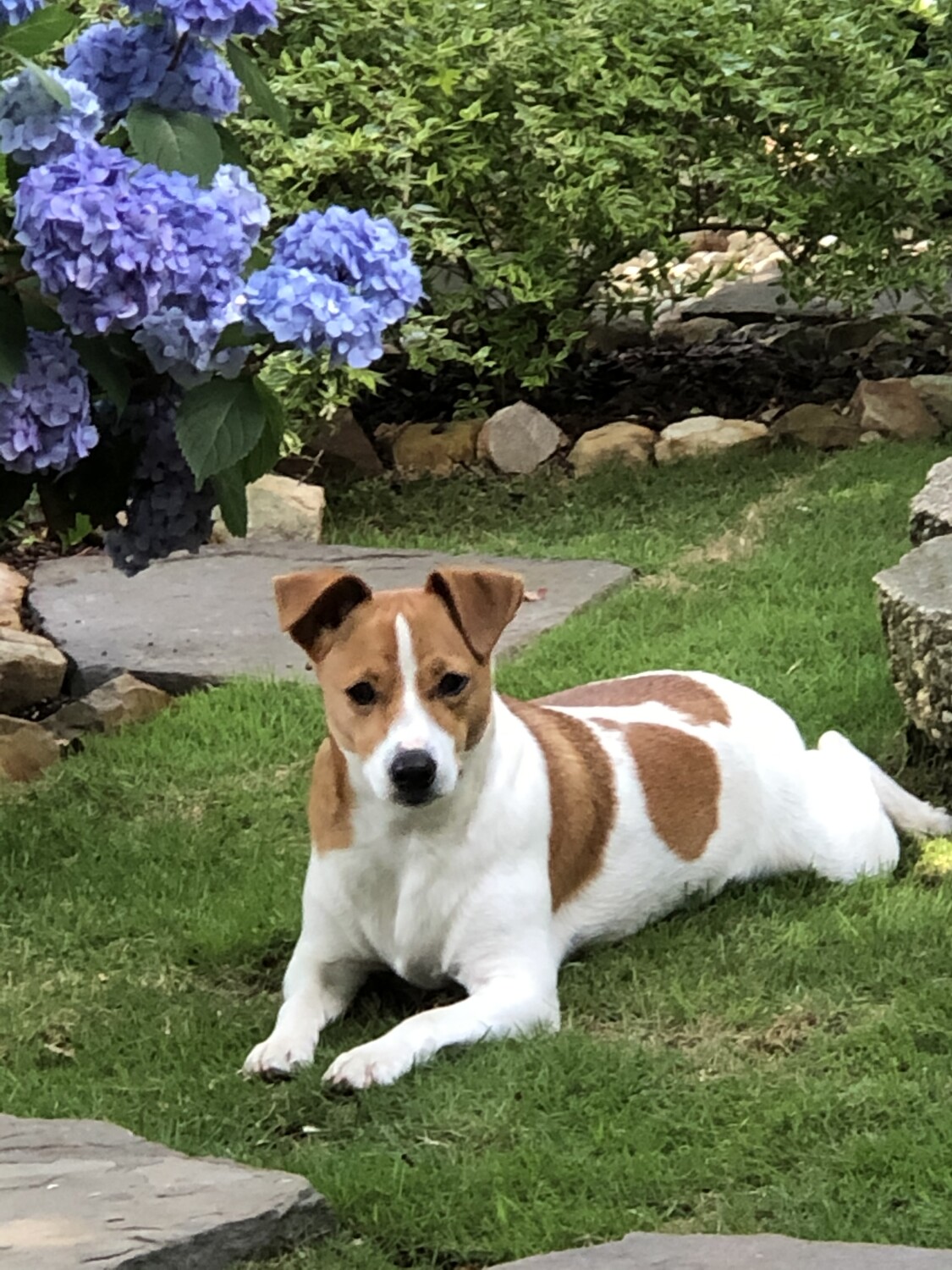 Enjoying a spring day!