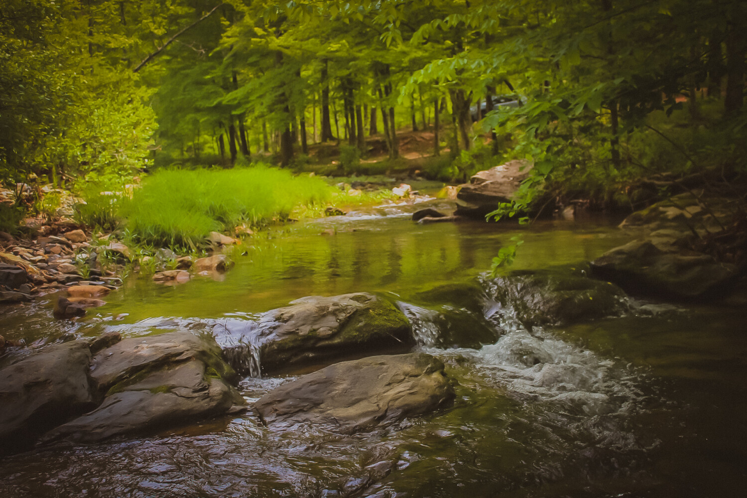 Streamside