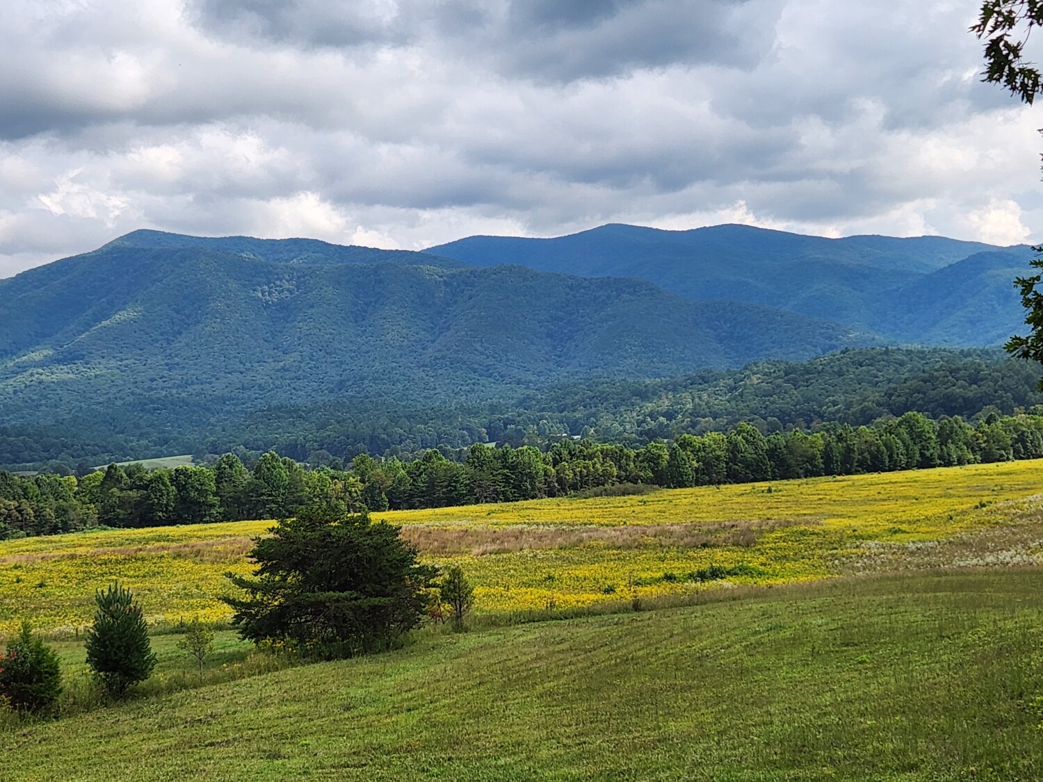 Smokey mountains Park