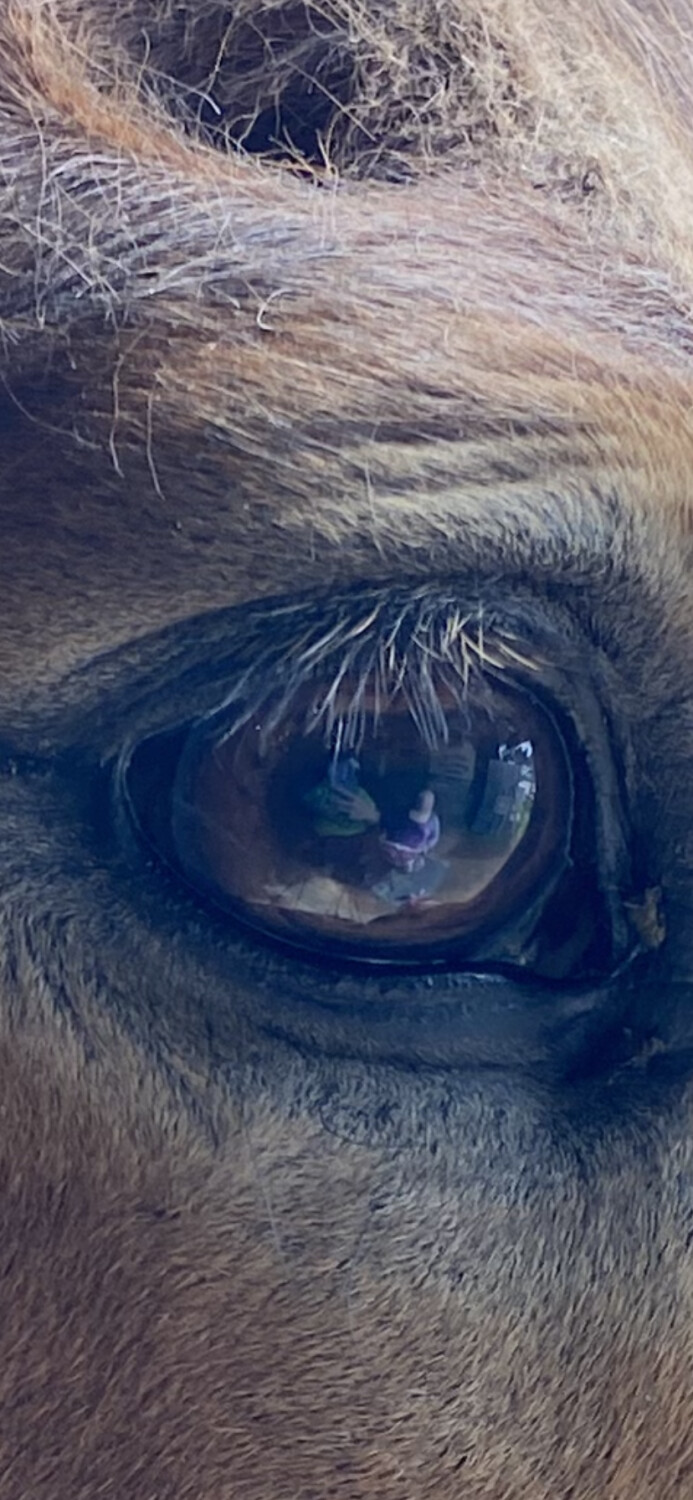 There are those that look & those that see