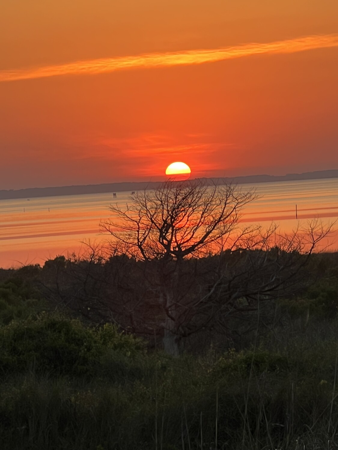 Cape Lookout Sunset