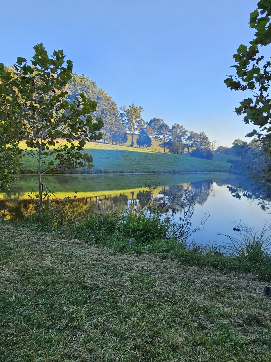 Camping on the farm.