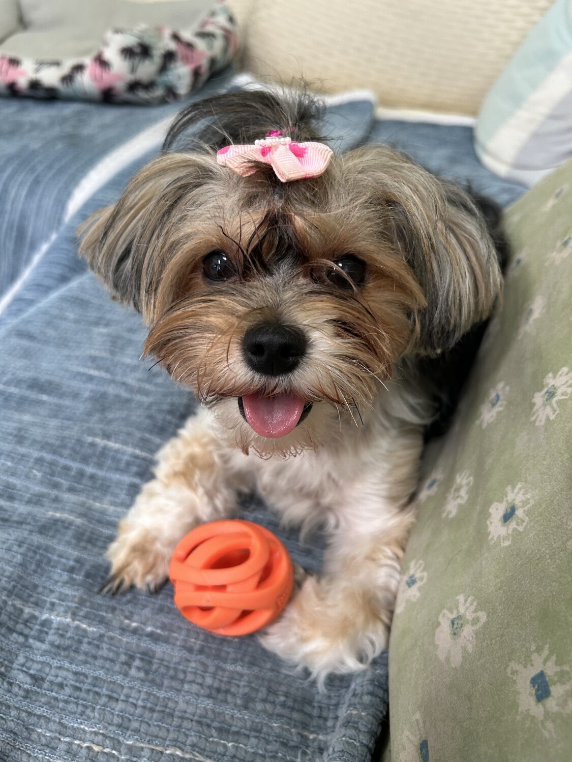 PixieRae