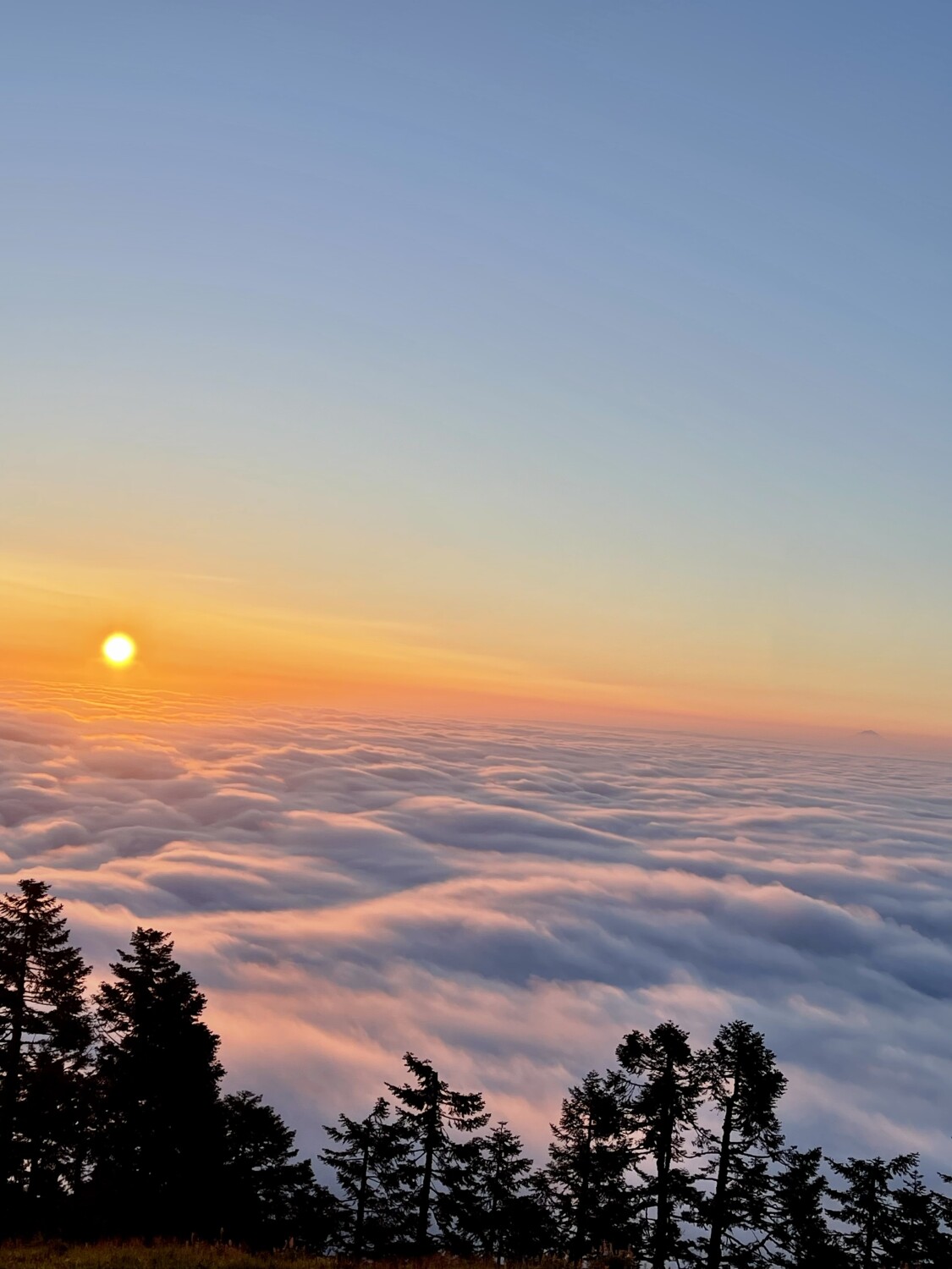 Eleventh highest peak in Oregon