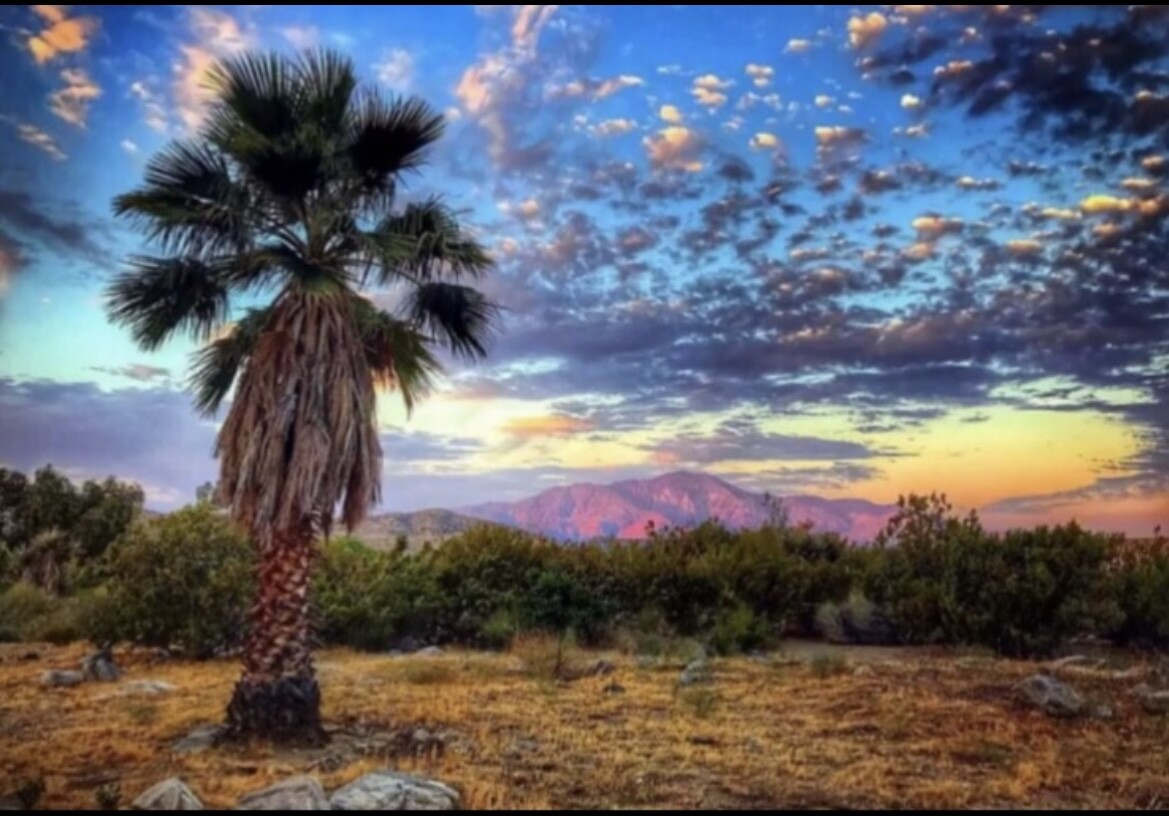 Desert Backyard Skies