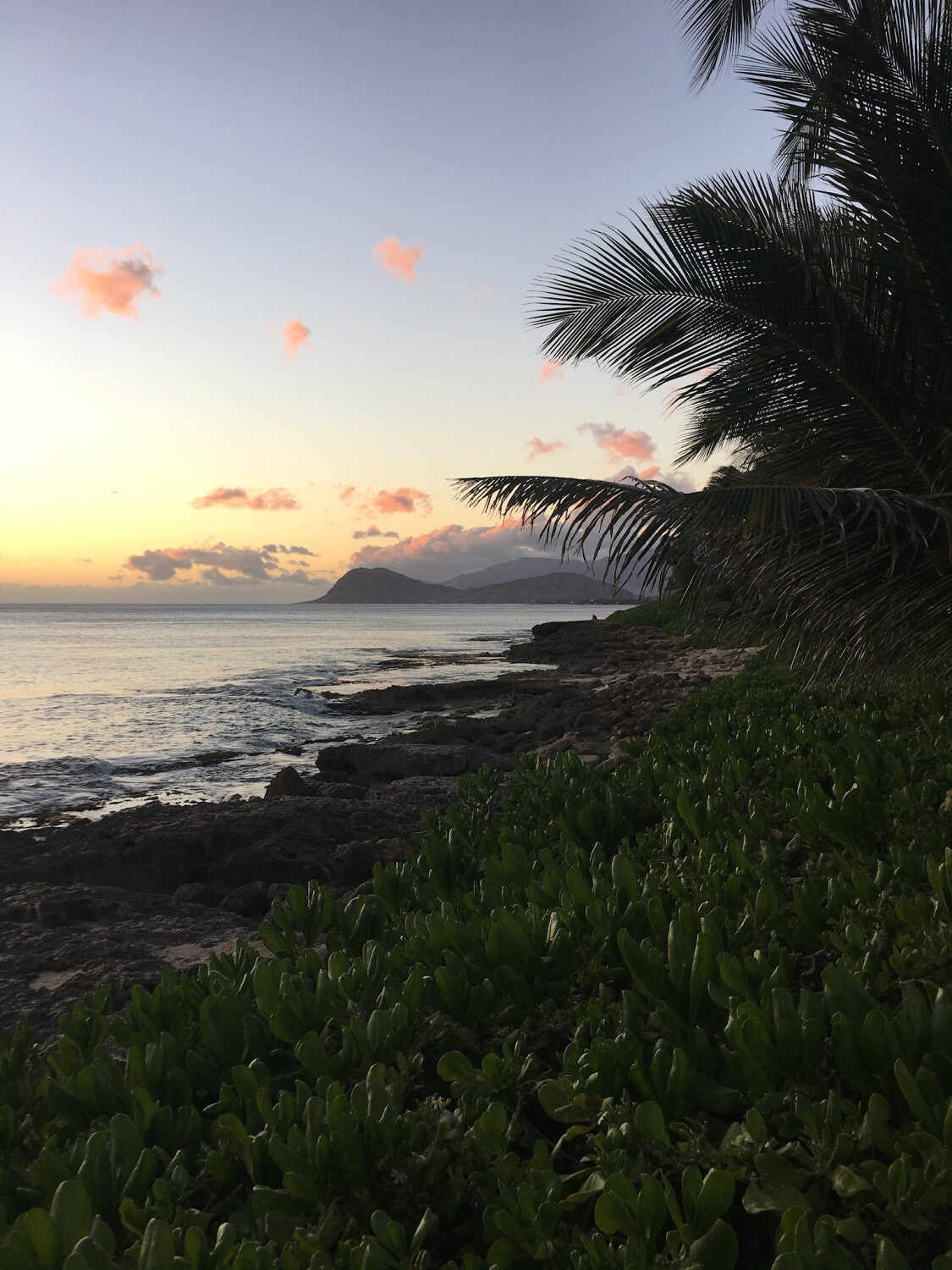 Hawaiian Sunset