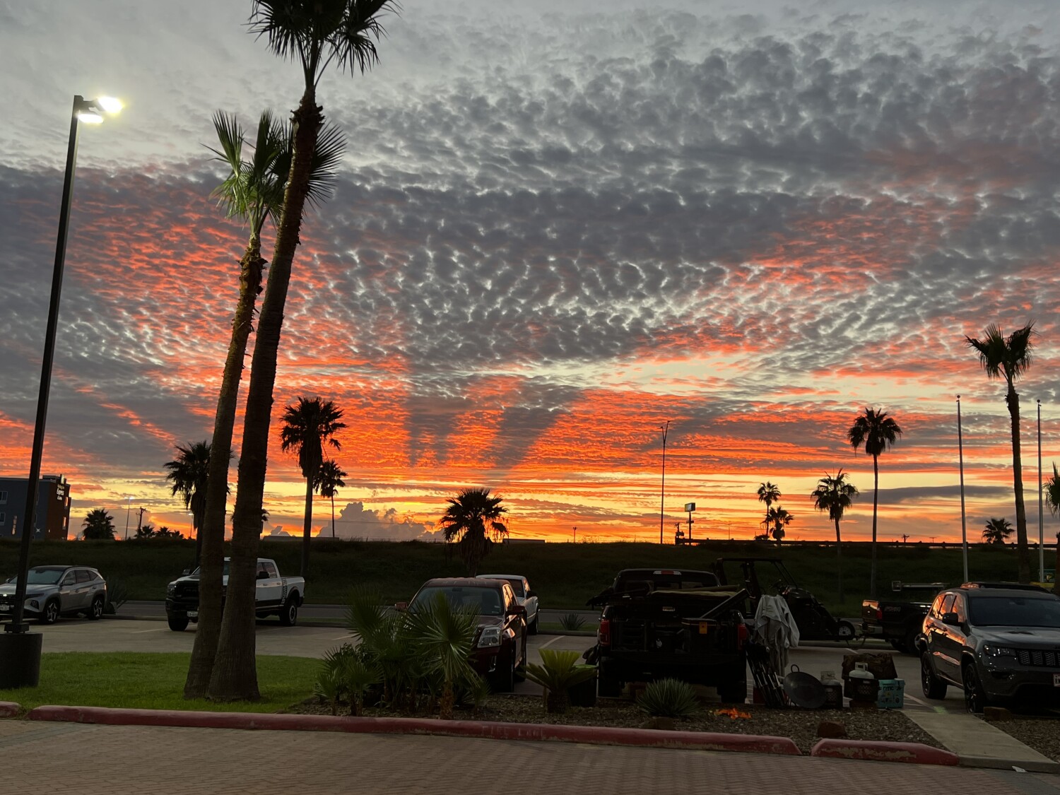 Rio Grande Valley Morning