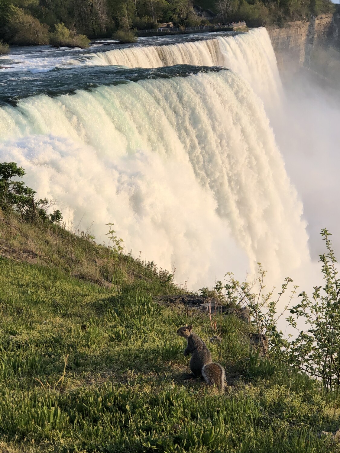 Niagara Falls