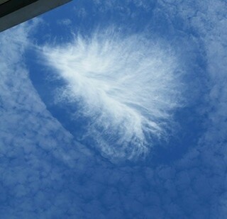 Feather cloud