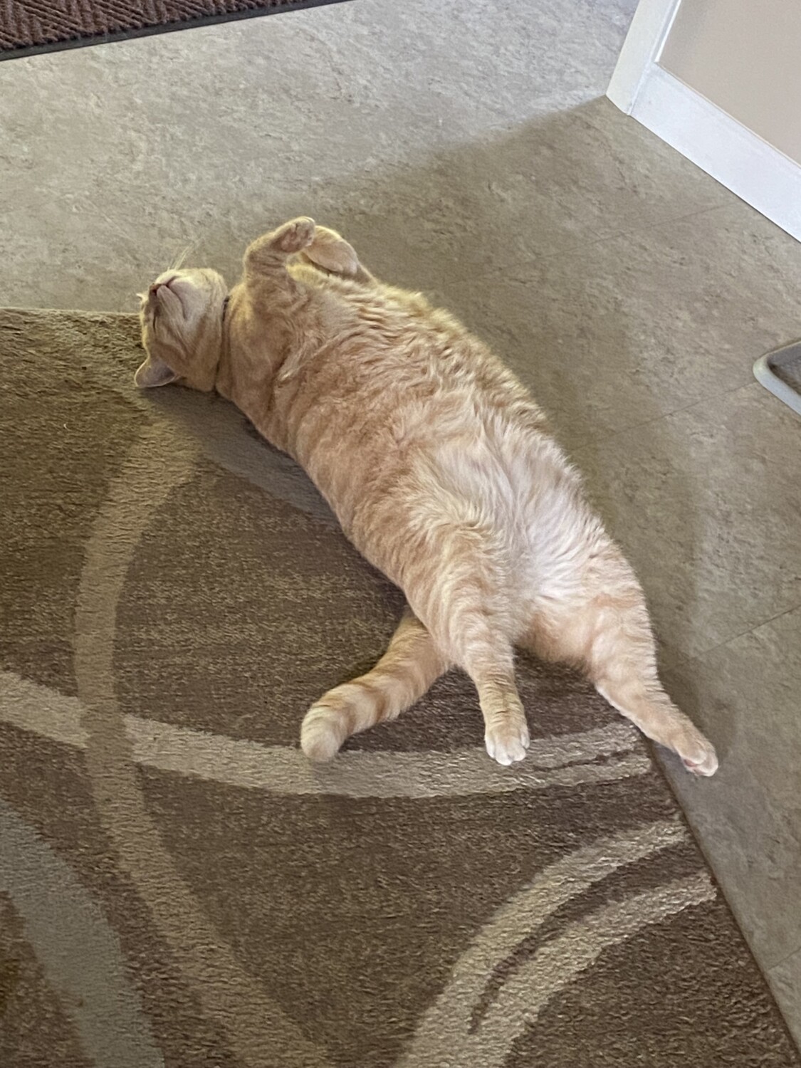 Relaxing to the fullest tough day