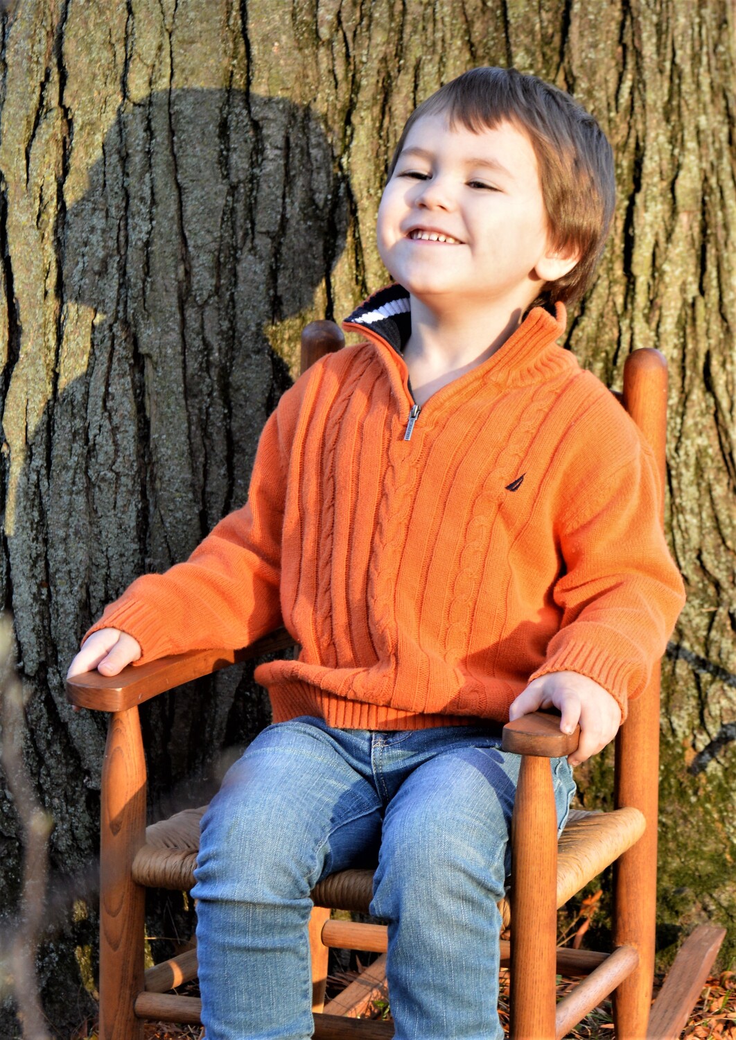 Phoenix and his shadow