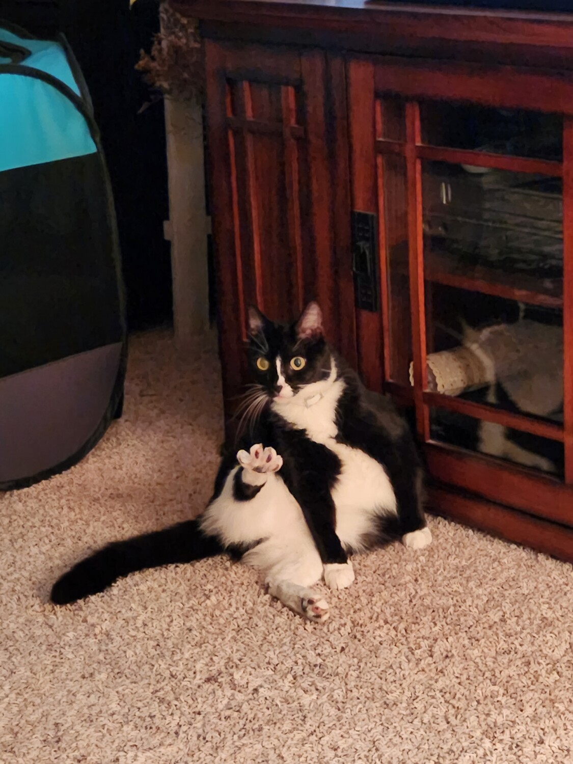 Scratch my toes, mom!