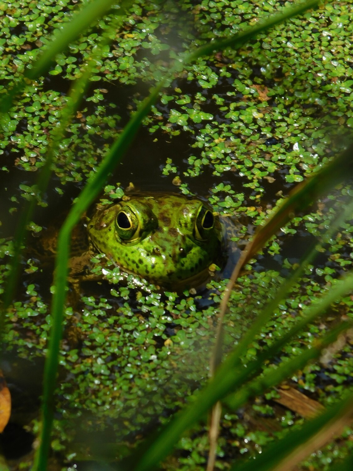 Jeremiah’s Hideout