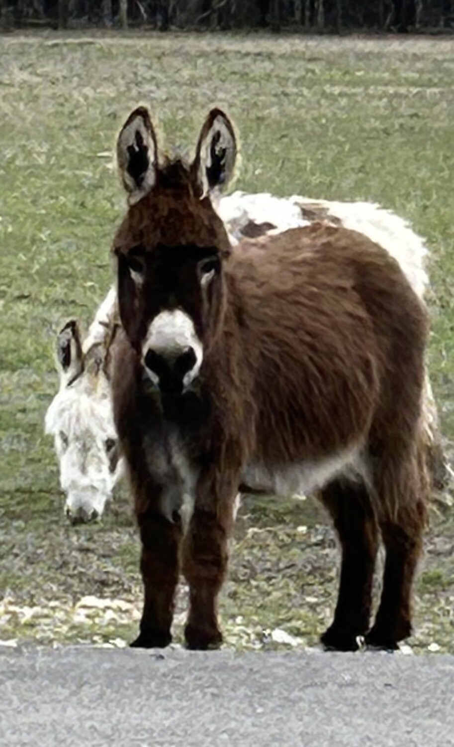 Texas born and raised!