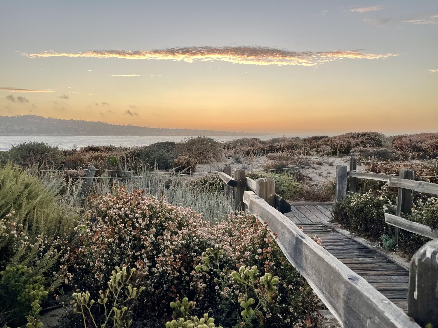 Boardwalk to paradise.