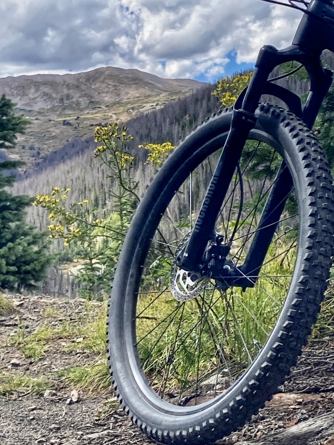 How I view God’s Beauty