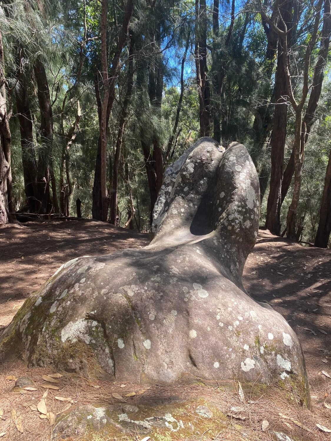 Rock in molokai hawaii