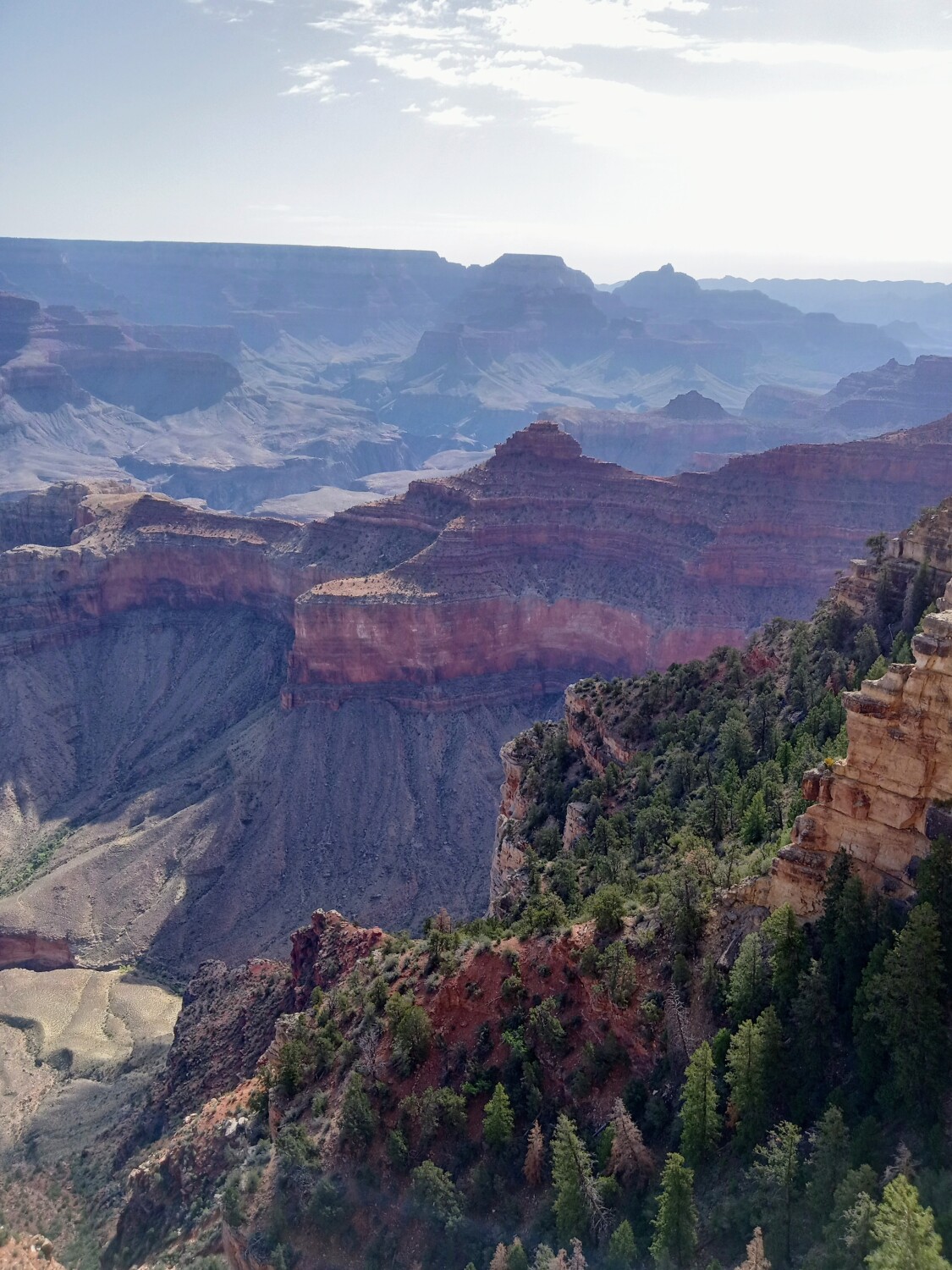 Grand   Canyon