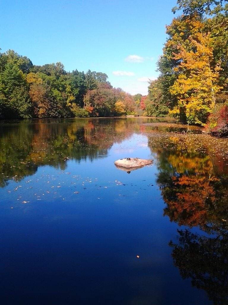 Young's Pond, Fall