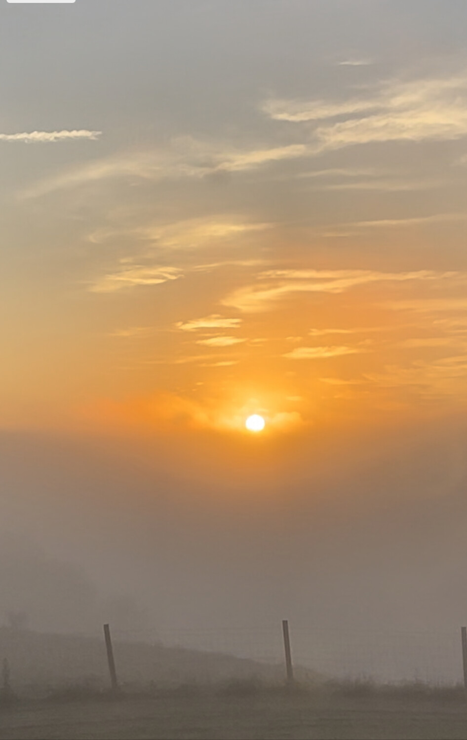 The sun rising over foggy