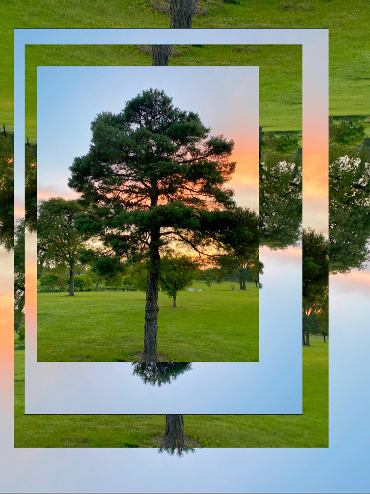 Embracing the Season's Delight