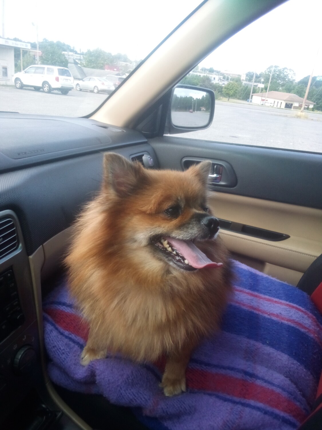 Coco in her new ride