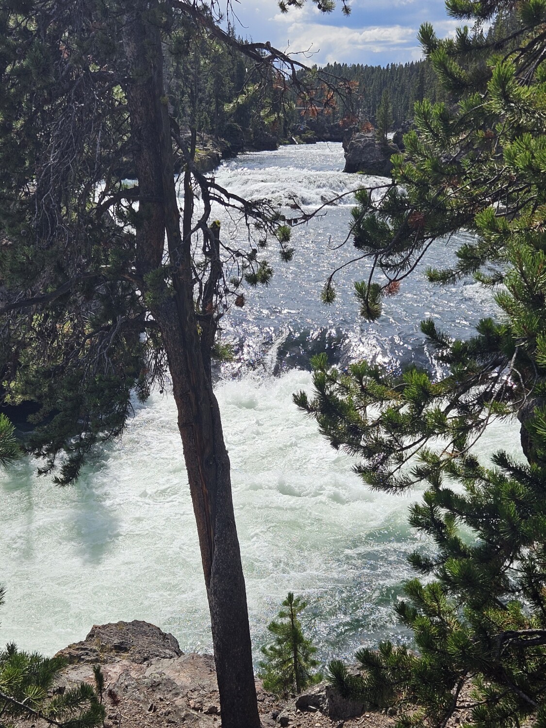 Yellowstone Falls