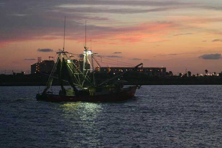 Shimpboat at night