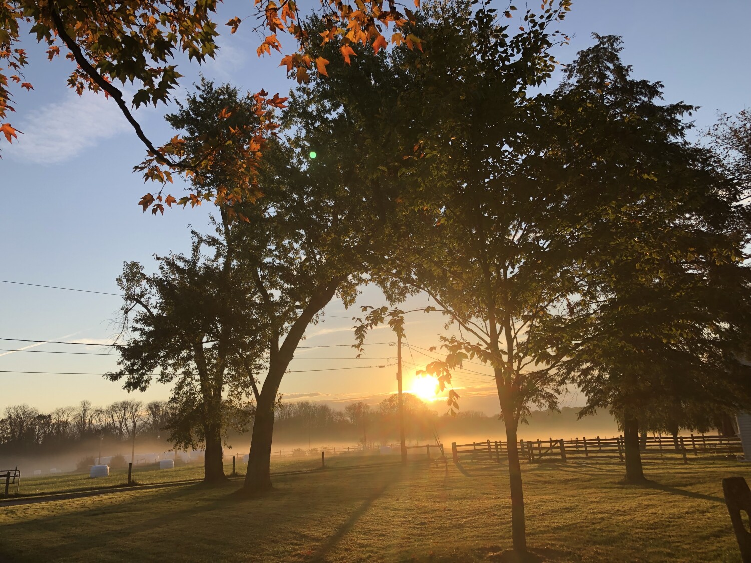 Early Morning on the Farm