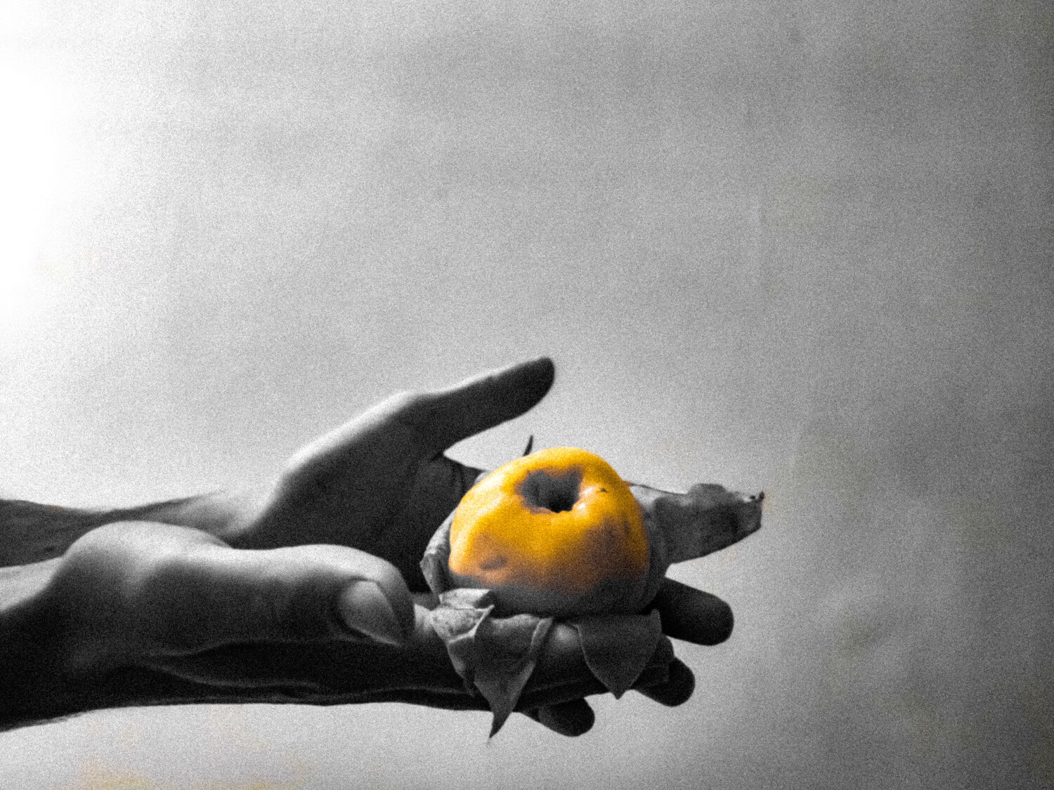 Reconciliation Renaissance