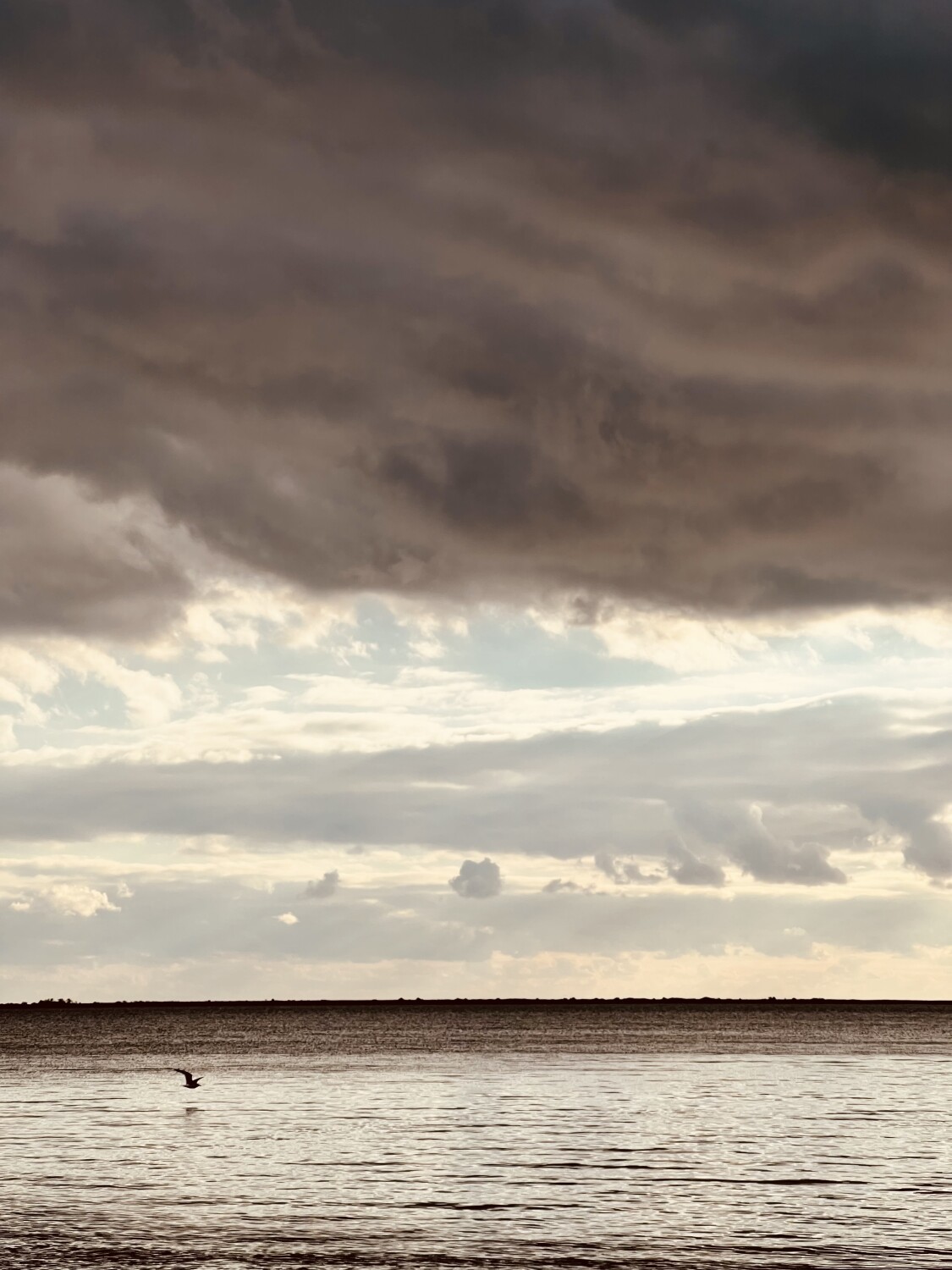 “Beauty of an End “