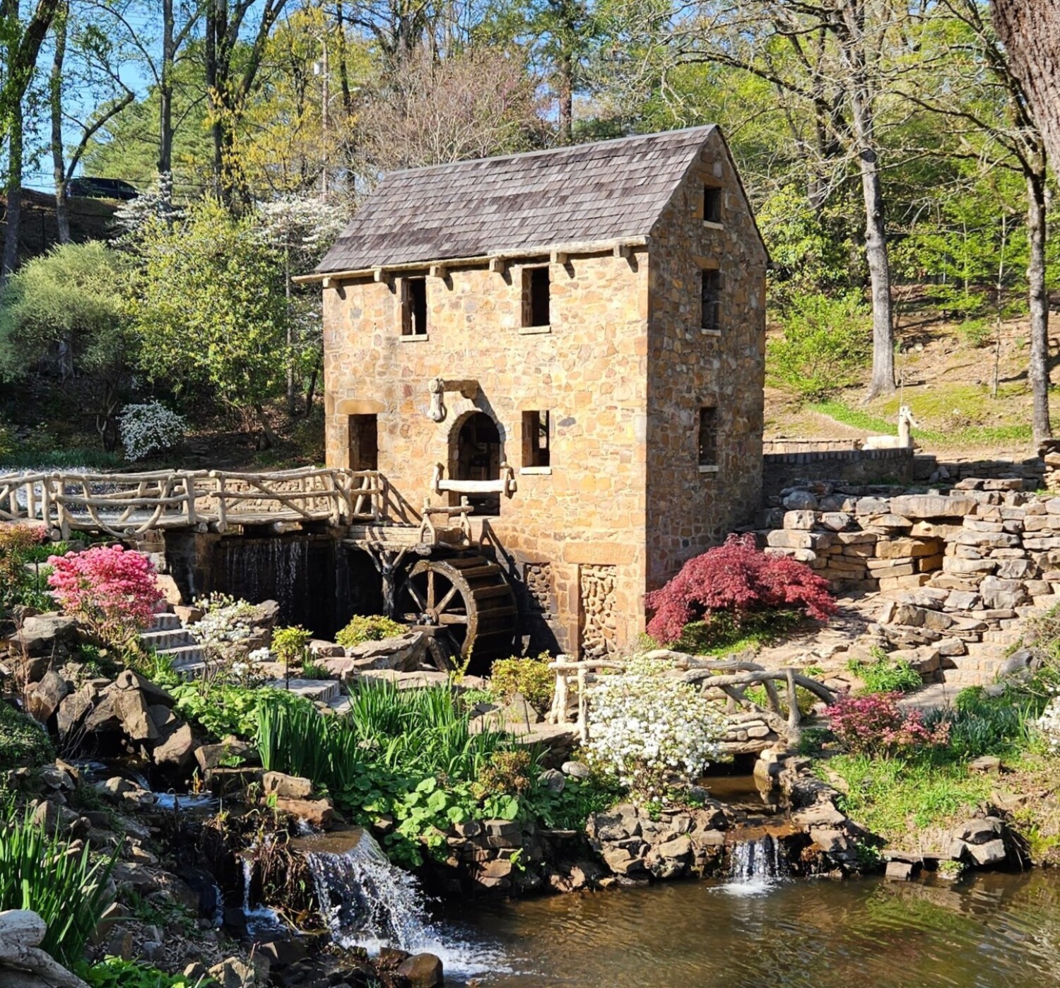 Competition Page | Beautiful Spring Day | Pamela Ginnings | This is the ...