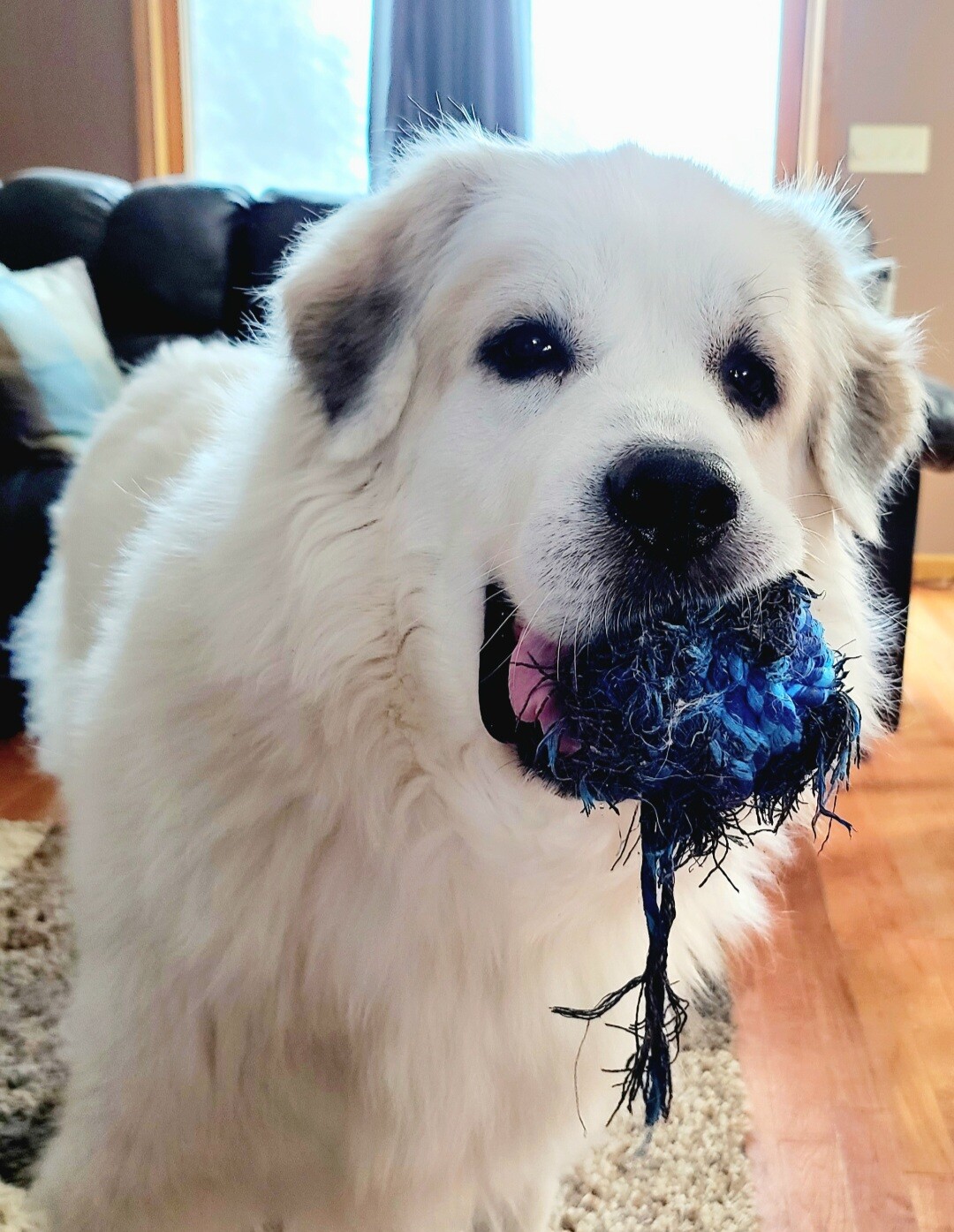 London aka boo boo baby